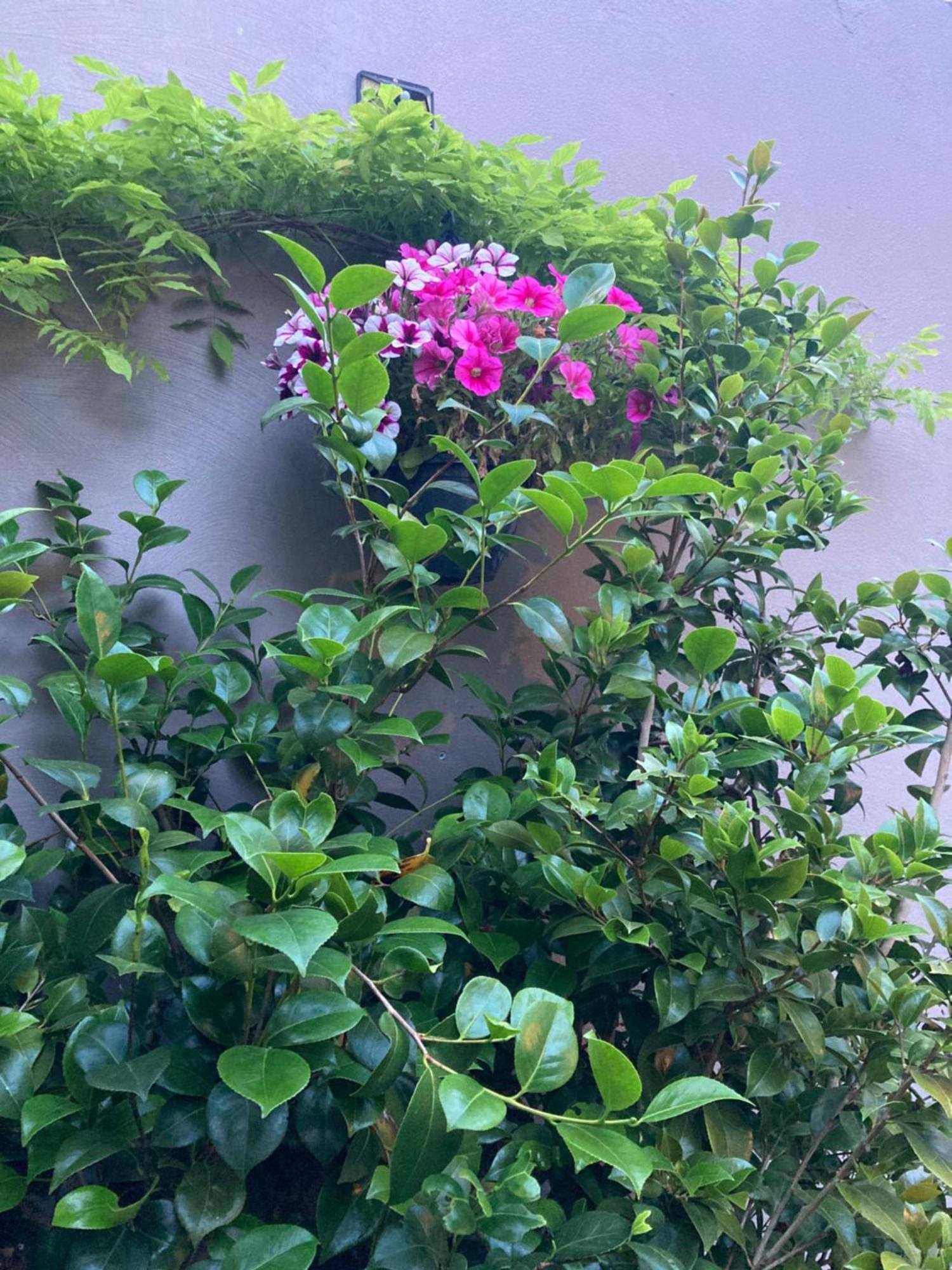 扎芬特姆Chez Roya公寓 外观 照片